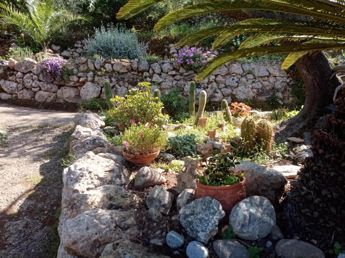 Cottage Pura Vigna Immerso Nella Natura Vicino Al Mare Porto Santo Stefano  Exterior foto