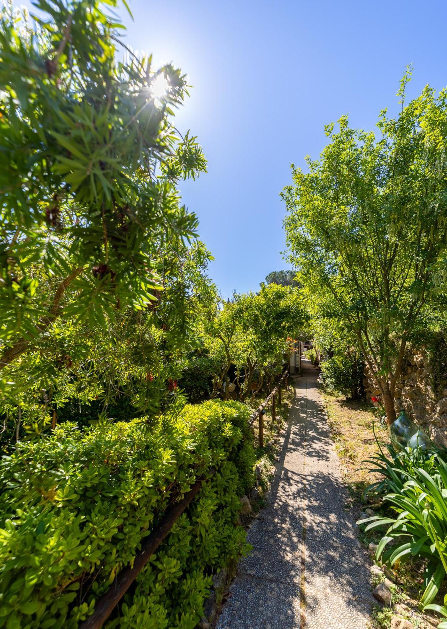 Cottage Pura Vigna Immerso Nella Natura Vicino Al Mare Porto Santo Stefano  Exterior foto